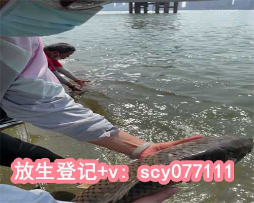 三月哪天放生好，万年历查询黄道吉日12月哪天搬家最好