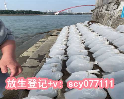 大连放生园放生小鱼，大连孝子王希海