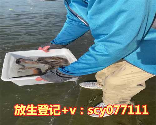 浙江哪里能放生黑鱼，浙江省民宗委关于印发《浙江省宗教团体管理办法》的通