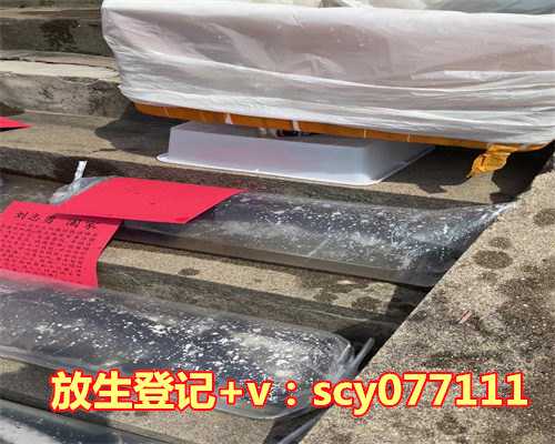 浙江哪里适合放生草龟，戒色一年，保研至浙江大学！