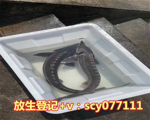 郑州蚬子去哪里放生，河南省宗教界代表人士赴郑州市革命烈士陵园开展纪念活