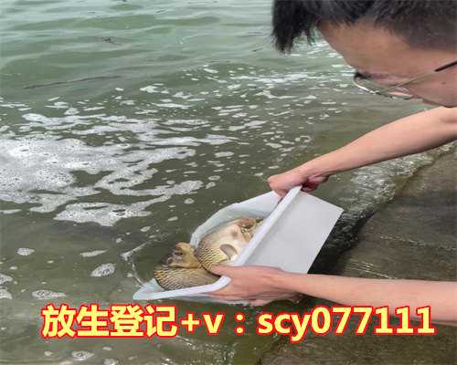 为孩子放生念什么咒语好，鼠女和鸡男生虎属相的孩子好：女属虎男属鸡的生什