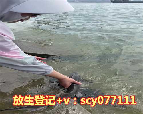 放生鱼几条有讲究吗，五行属土养几条龙鱼