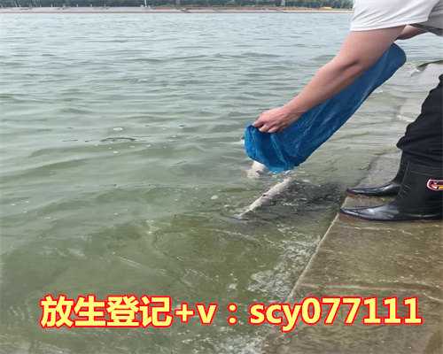 放生鱼为什么放9条三种颜色，经血颜色淡量少为什么？