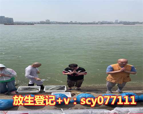 放生鱼前要说些什么意思呀，鸟类放生需要注意什么