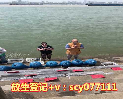 青岛哪里放生松鼠最好，青岛一家小企业为何能吸引社会各界纷纷前去讨教