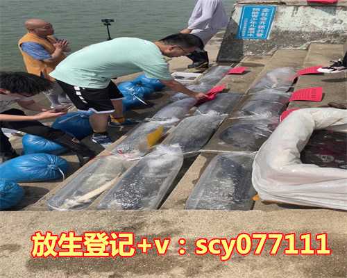 海口哪里可以放生鱼呢，巴西龟放生晋江入海口放生变杀生好心办坏事