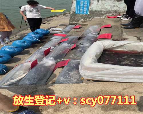 2023年立春放生，2023年属虎运势运程属虎人2023年每月运势