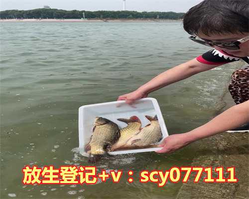 为什么有人放生鸡蛋，经常放生为什么还生病