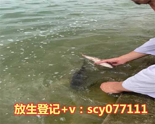 中华花龟怎么放生的，花生怎么吃最营养