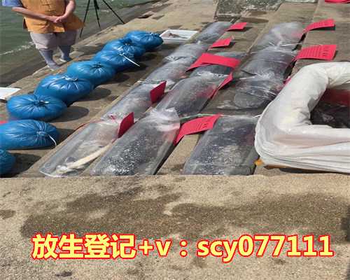 公园可以放生乌龟，乌龟怎么放生？