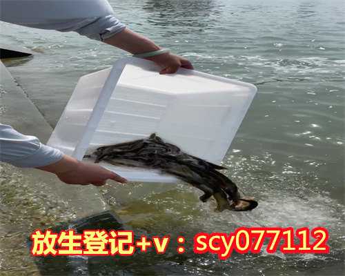 郑州公园放生飞禽，郑州市民在黄河边拍到鳄鱼或有人放生