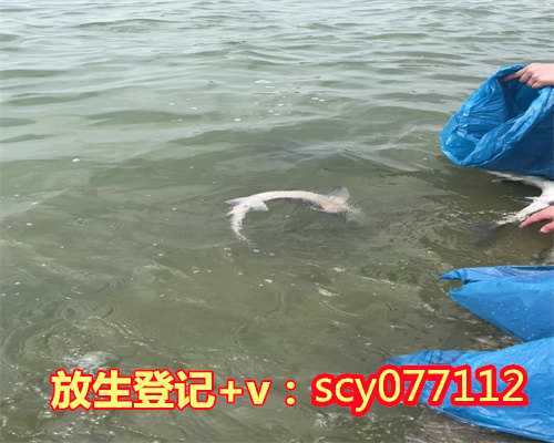 放生日是农历哪天，农历生日看一生命运1983年8月27日