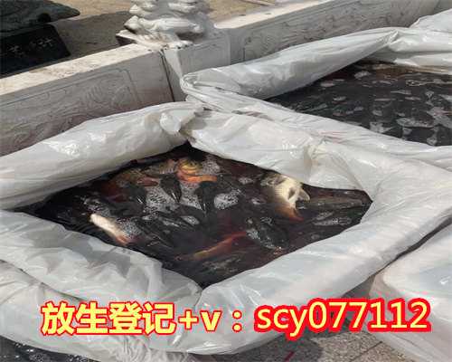 青岛放生的地点，青岛机场驱鸟用“八般武器”