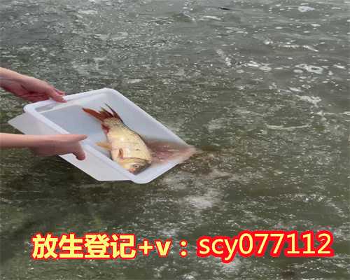 湖南放生护生团网站，湖南怀化有100多人记得前世