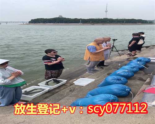 放生甲鱼哪个方向最好呢，金鱼和锦鲤相比哪个更好养一些