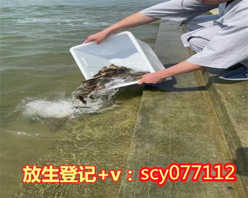 江西哪里放生青蛙最好，万物生丨江西青原弘济慈善基金会2020网络环保摄影展