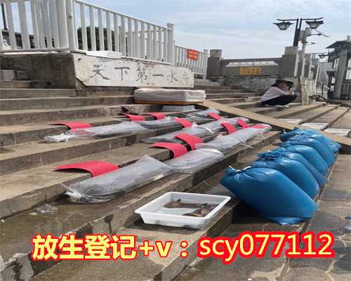 求子放生放多少条鱼临沂方舟恐龙放生后多久消失【临沂乌龟放生】