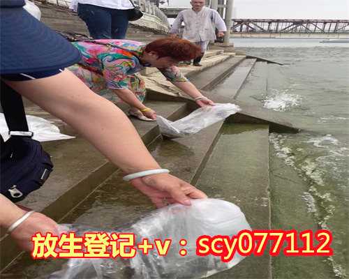 买什么鱼放生效果好，什么鱼不能放生